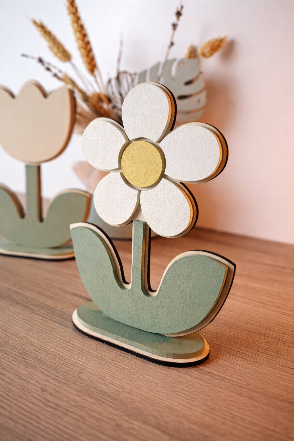 Daisy - Margherita da Tavolo