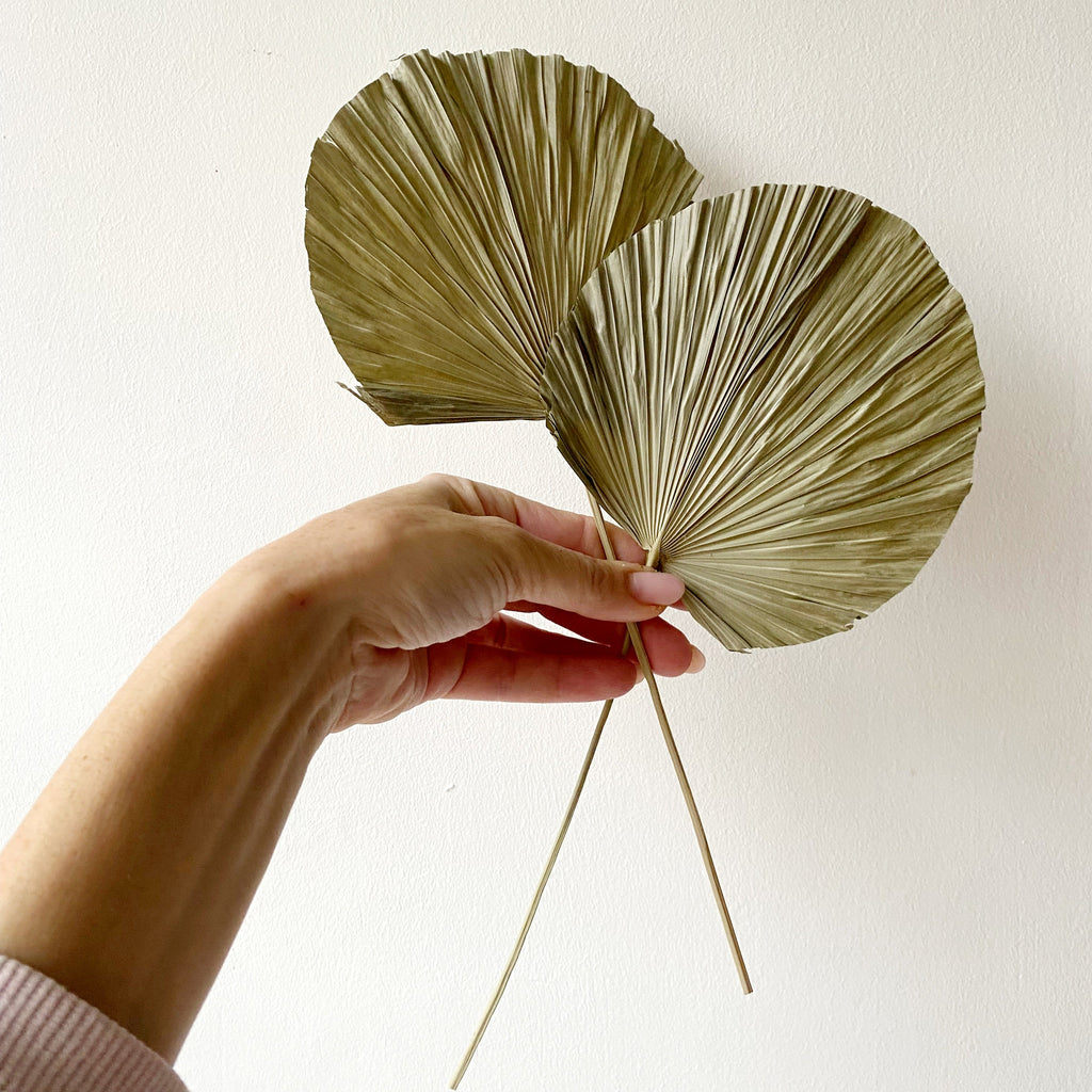 Round-shaped palm leaf-0